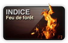 indice de feu de forêt Chambord
